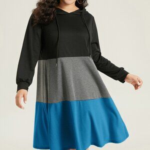 Colorblock Contrast Hooded Drawstring Dress